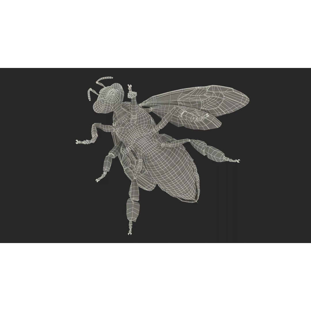 Honey Bee Fur 3D Model – High Poly PBR Asset, FBX, OBJ - View 27
