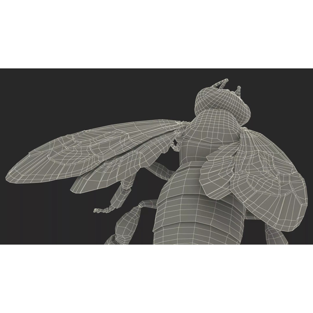 Honey Bee Fur 3D Model – High Poly PBR Asset, FBX, OBJ - View 28