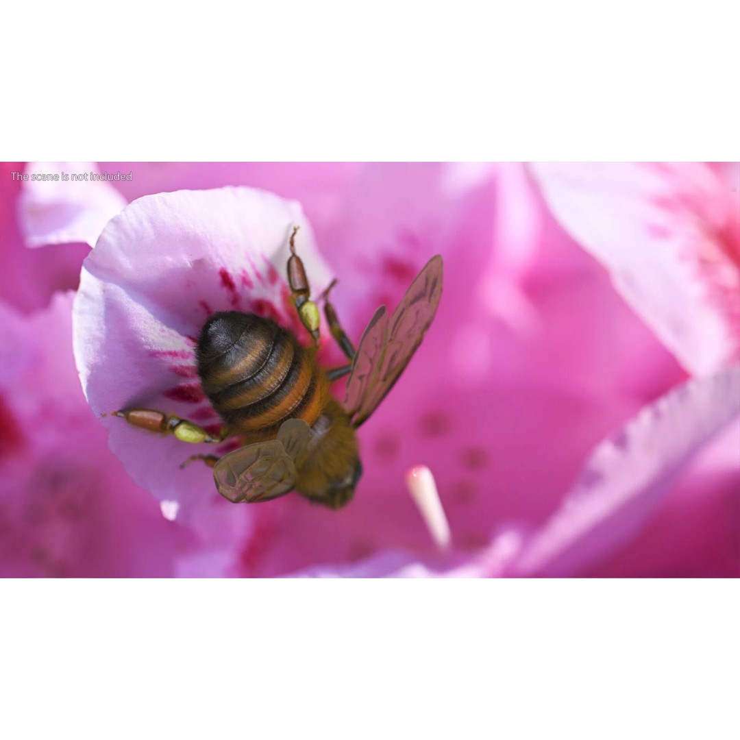 Honey Bee Fur 3D Model – High Poly PBR Asset, FBX, OBJ - View 5