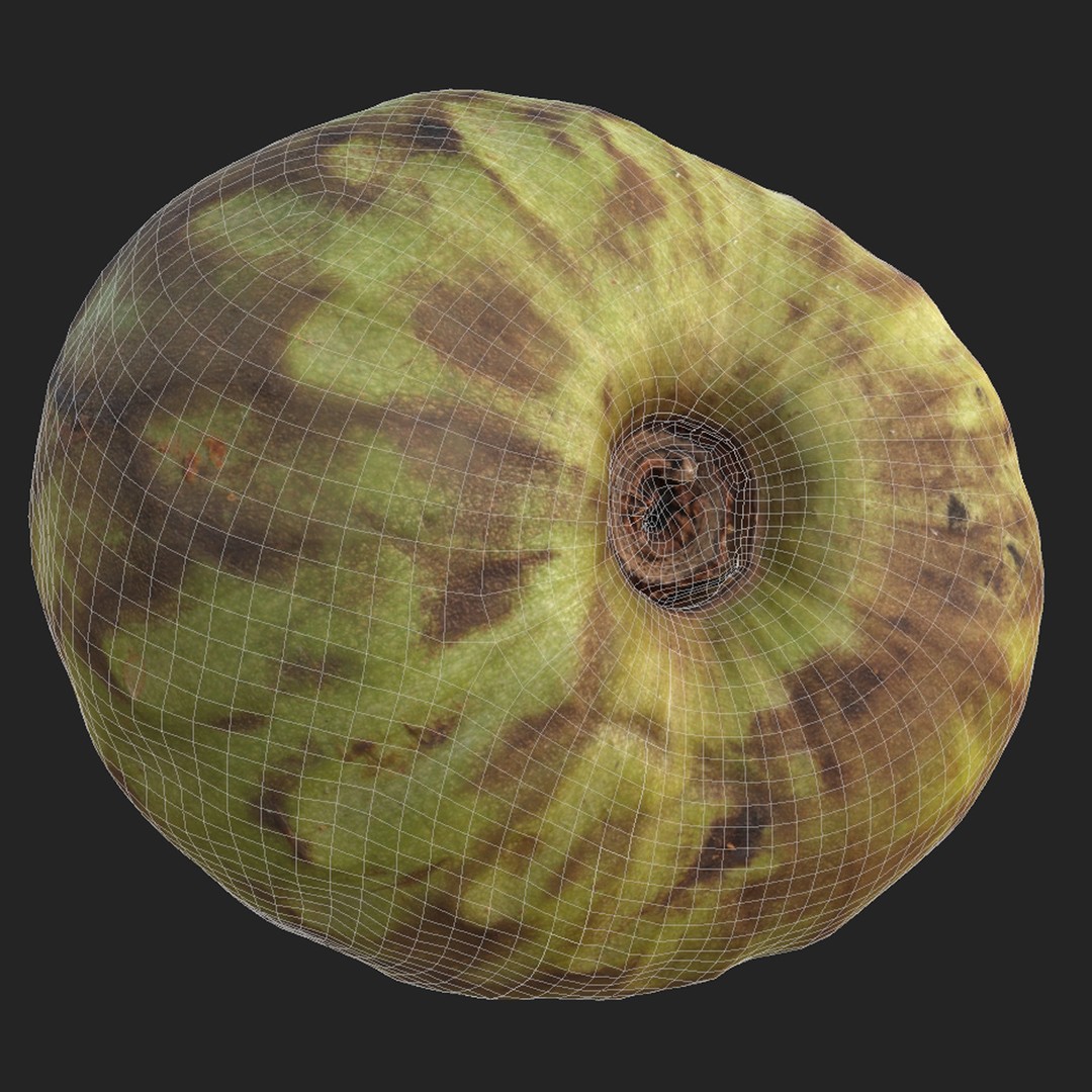 Cherimoya 3D Model – Low Poly Game Asset, PBR Textures, FBX - View 10