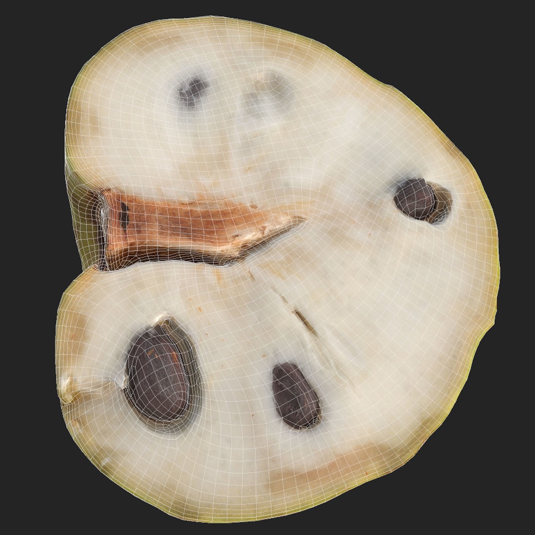 Cherimoya 3D Model – Low Poly Game Asset, PBR Textures, FBX - View 12