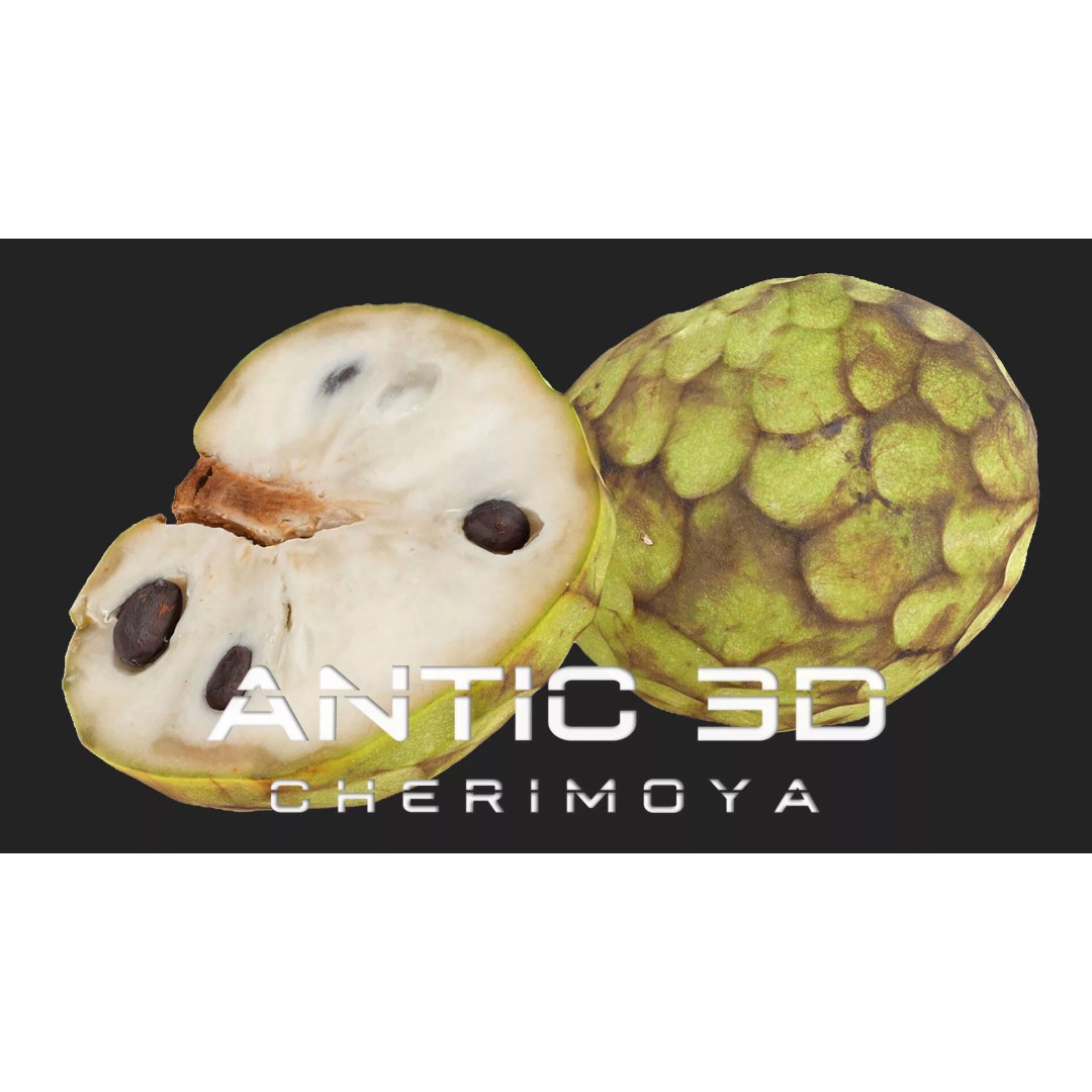 Cherimoya 3D Model – Low Poly Game Asset, PBR Textures, FBX - View 2