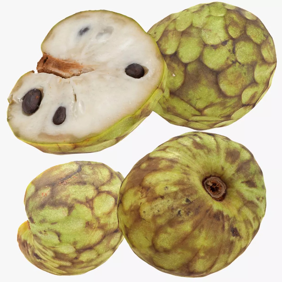 Cherimoya 3D Model – Low Poly Game Asset, PBR Textures, FBX - View 3