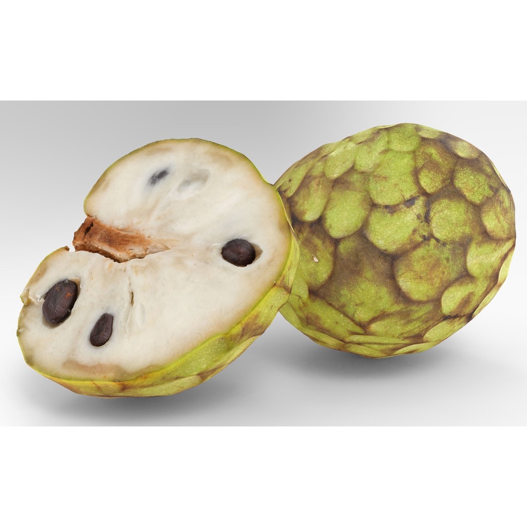 Cherimoya 3D Model – Low Poly Game Asset, PBR Textures, FBX - View 4
