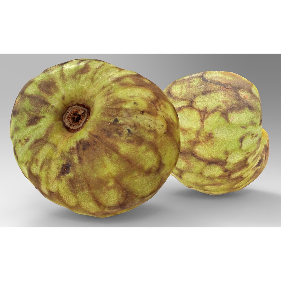Cherimoya 3D Model – Low Poly Game Asset, PBR Textures, FBX - View 5