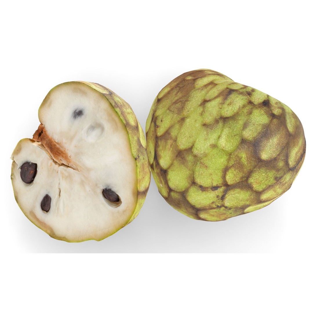 Cherimoya 3D Model – Low Poly Game Asset, PBR Textures, FBX - View 6
