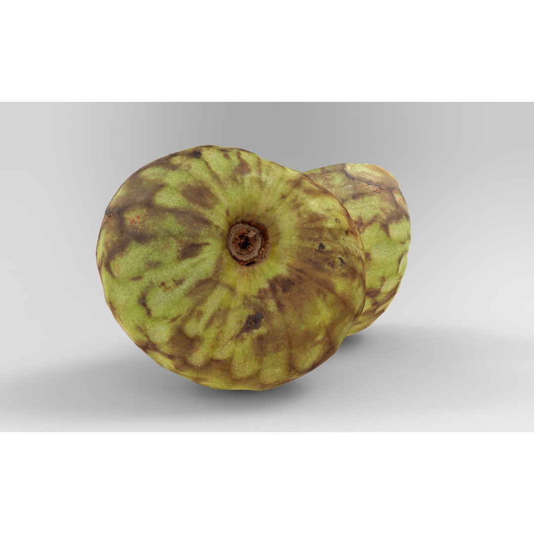 Cherimoya 3D Model – Low Poly Game Asset, PBR Textures, FBX - View 7