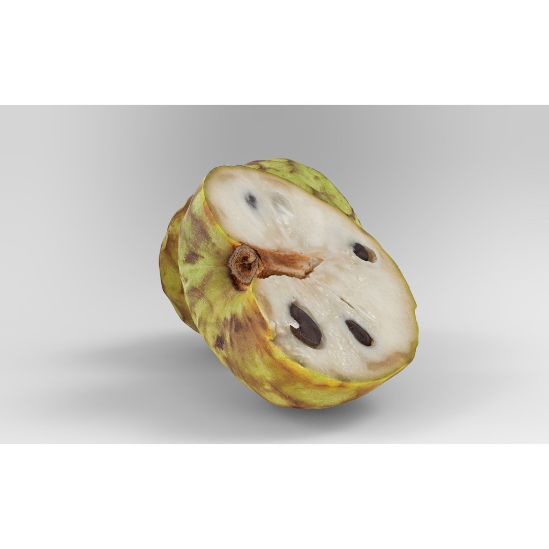 Cherimoya 3D Model – Low Poly Game Asset, PBR Textures, FBX - View 8