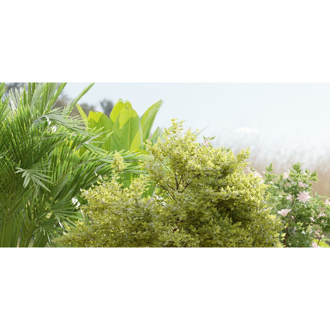 Outdoor Garden Plants 3D Model – PBR Materials, Blender Formats - View 3
