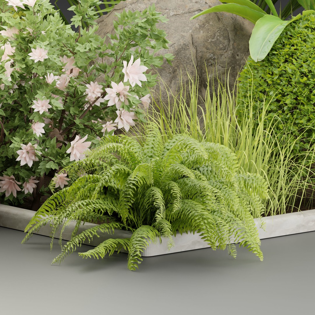 Outdoor Garden Plants 3D Model – PBR Materials, Blender Formats - View 4