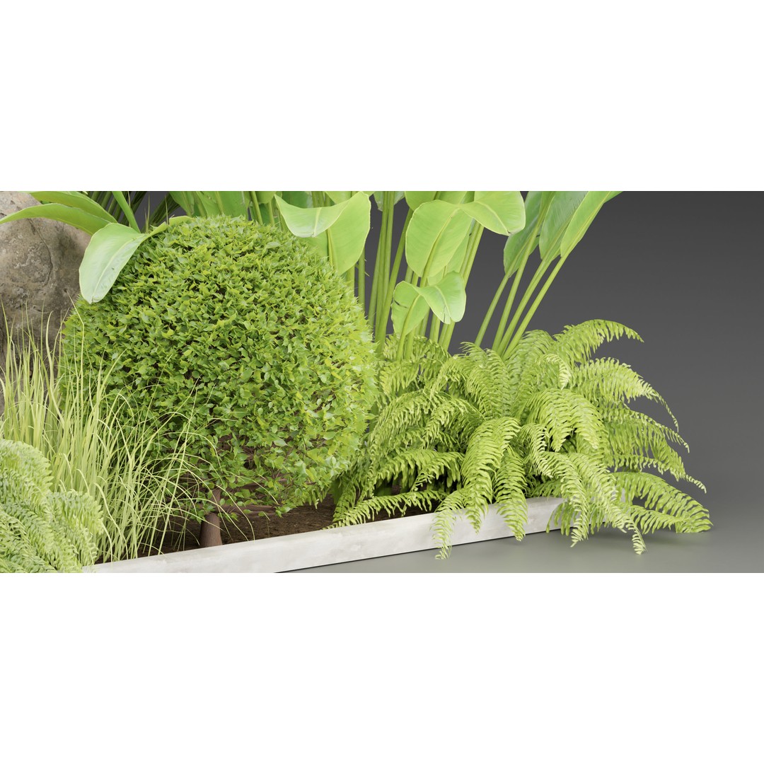 Outdoor Garden Plants 3D Model – PBR Materials, Blender Formats - View 5