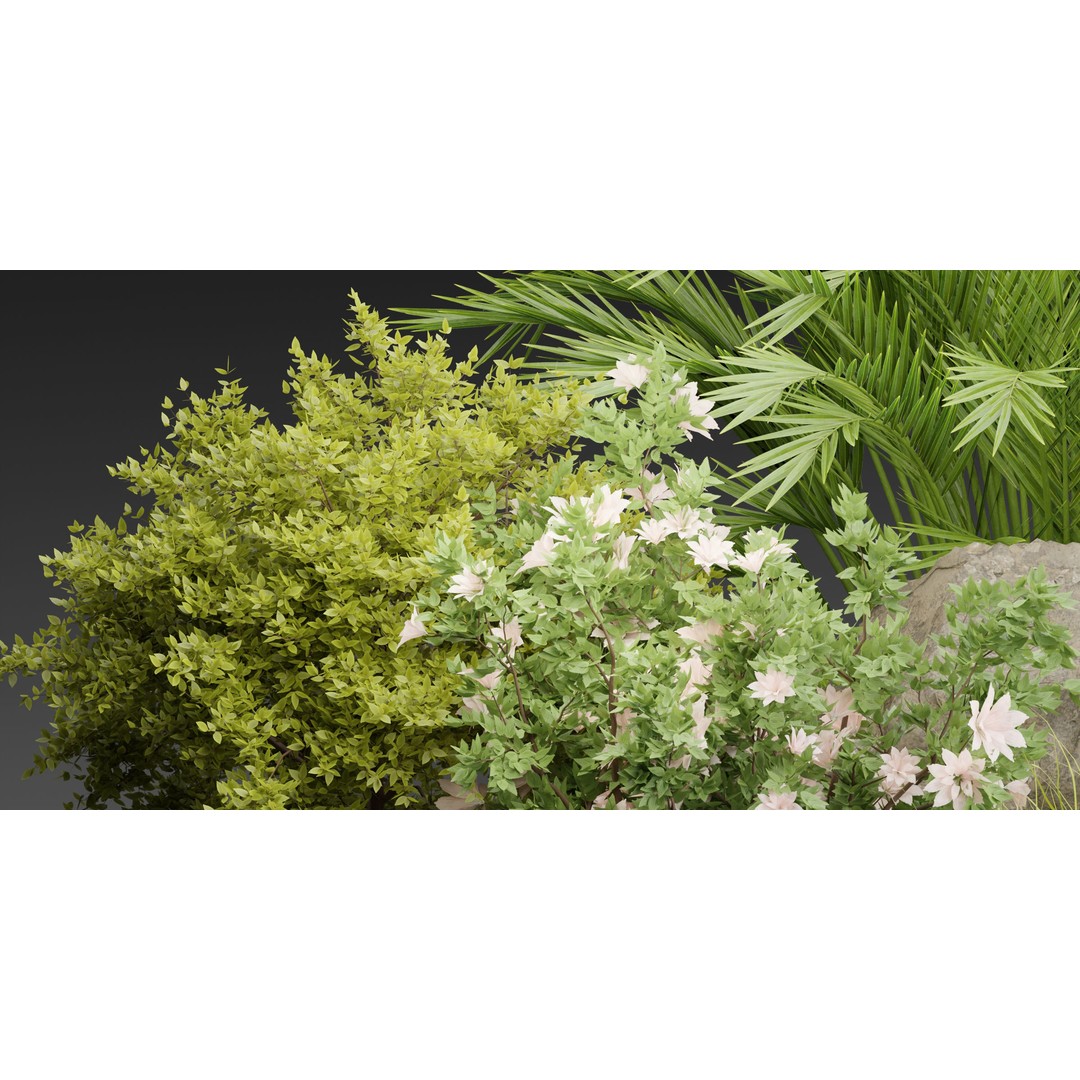 Outdoor Garden Plants 3D Model – PBR Materials, Blender Formats - View 6