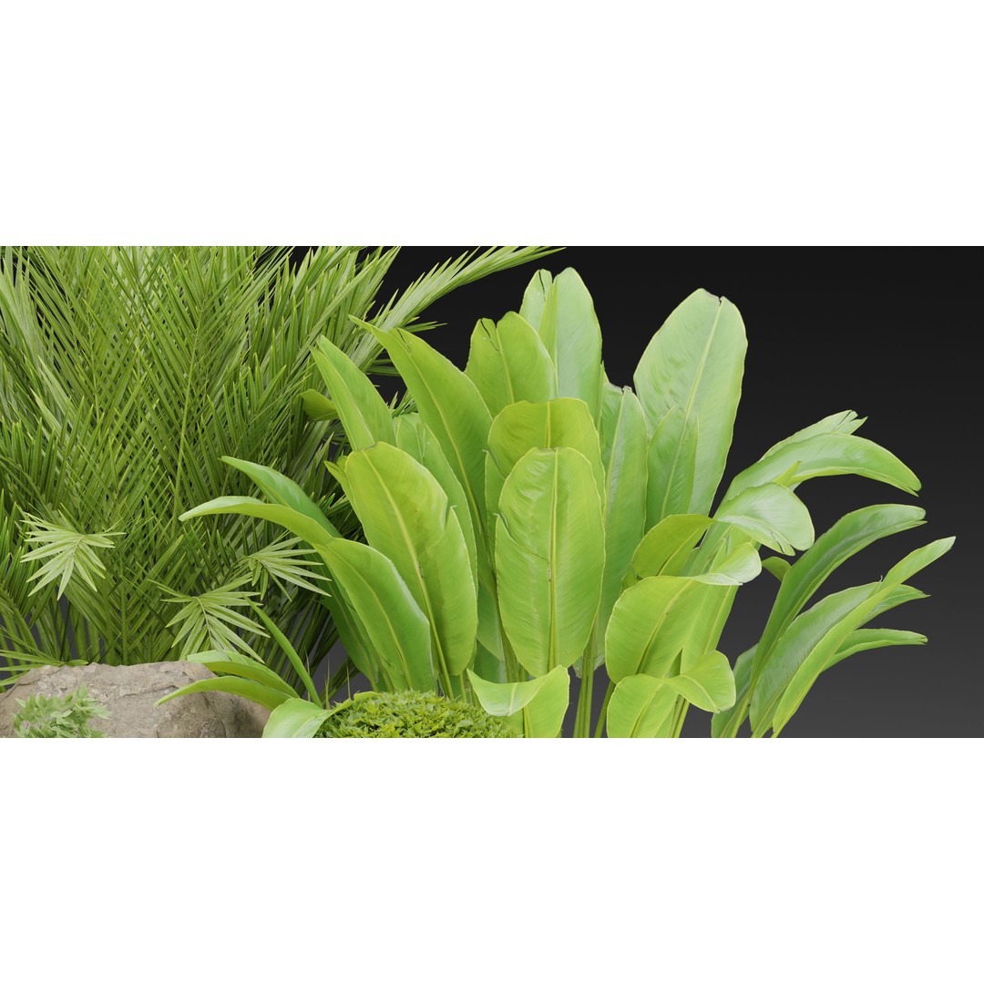 Outdoor Garden Plants 3D Model – PBR Materials, Blender Formats - View 7