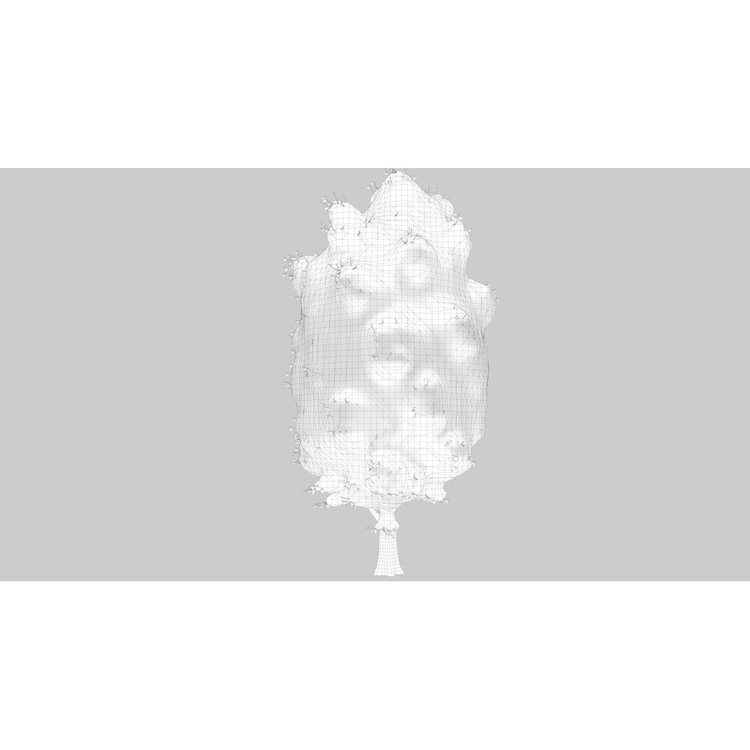Snow Carolina Poplar Tree 3D Model – Realistic Vegetation Asset, C4D, FBX, OBJ - View 10