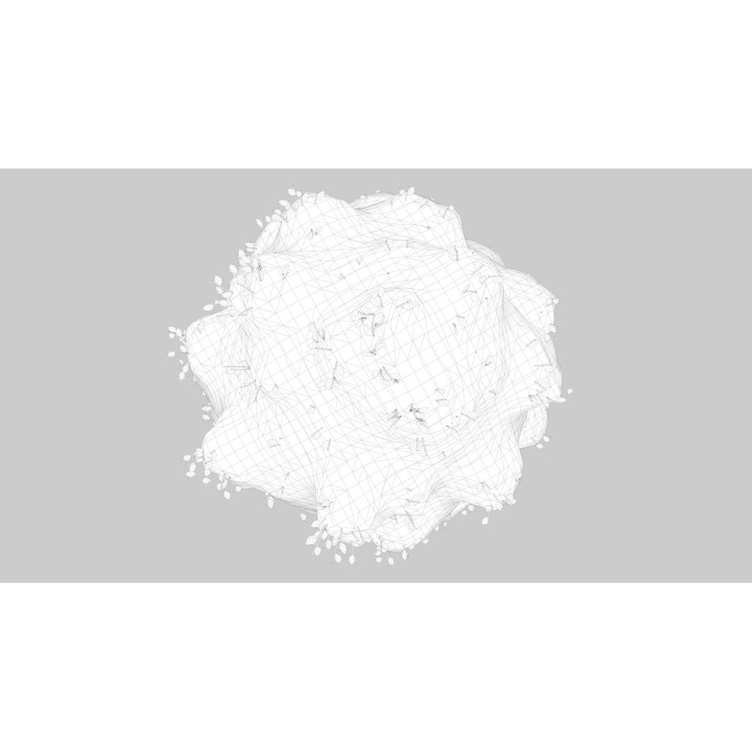 Snow Carolina Poplar Tree 3D Model – Realistic Vegetation Asset, C4D, FBX, OBJ - View 12