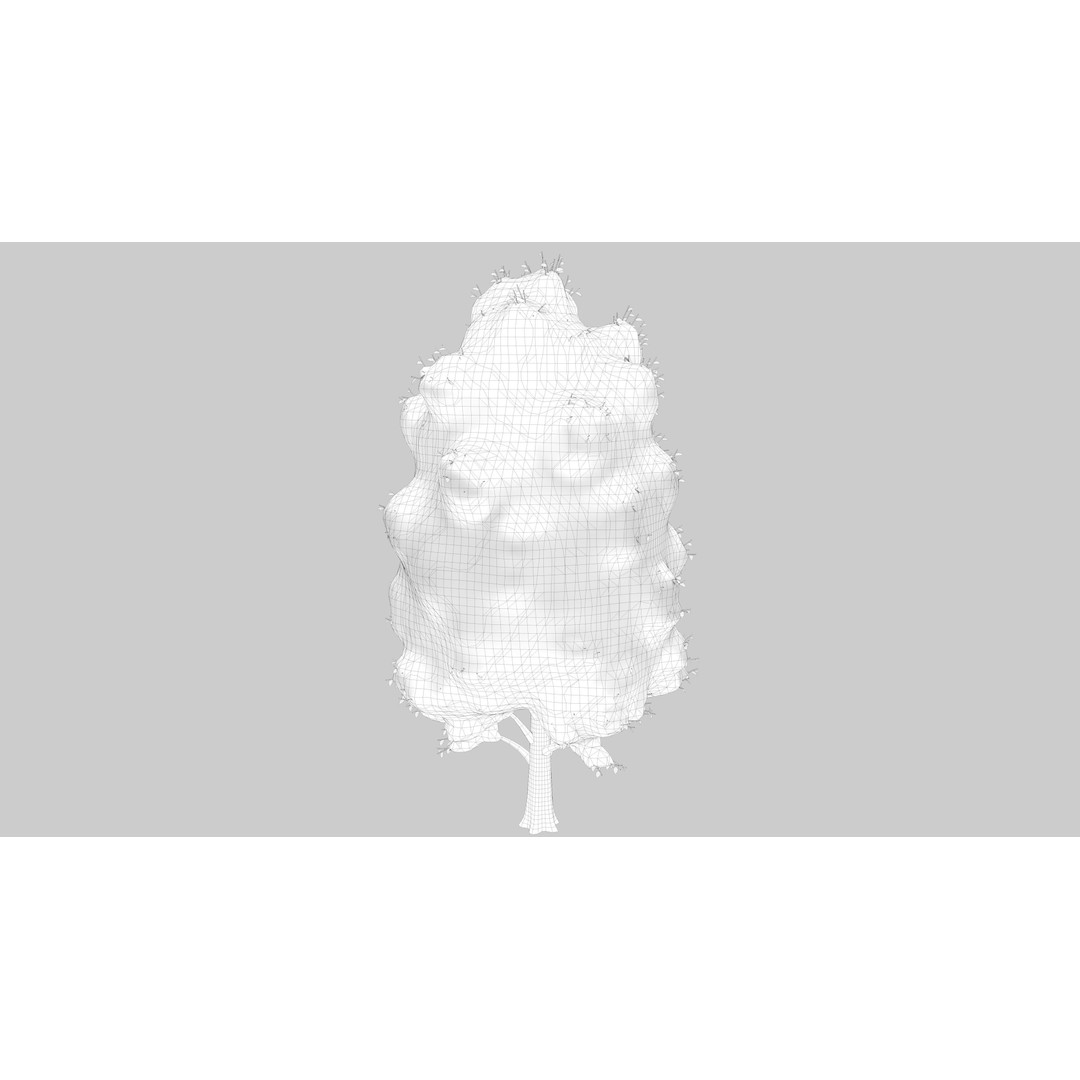 Snow Carolina Poplar Tree 3D Model – Realistic Vegetation Asset, C4D, FBX, OBJ - View 14