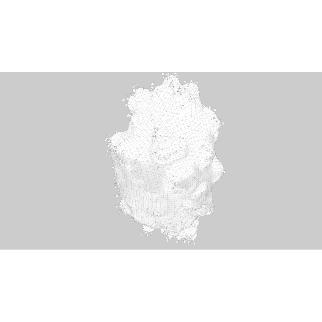 Snow Carolina Poplar Tree 3D Model – Realistic Vegetation Asset, C4D, FBX, OBJ - View 15