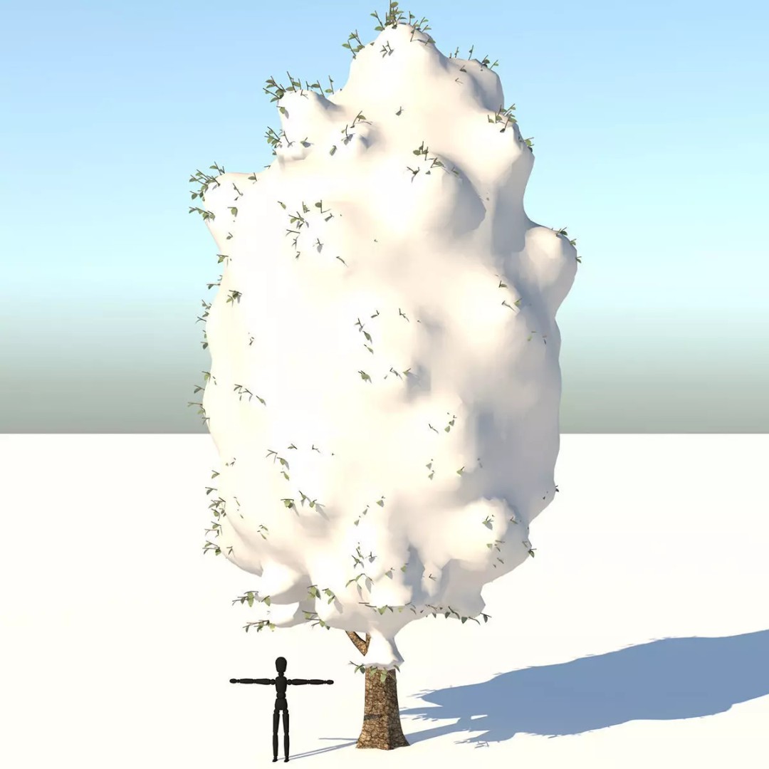 Snow Carolina Poplar Tree 3D Model – Realistic Vegetation Asset, C4D, FBX, OBJ - View 2