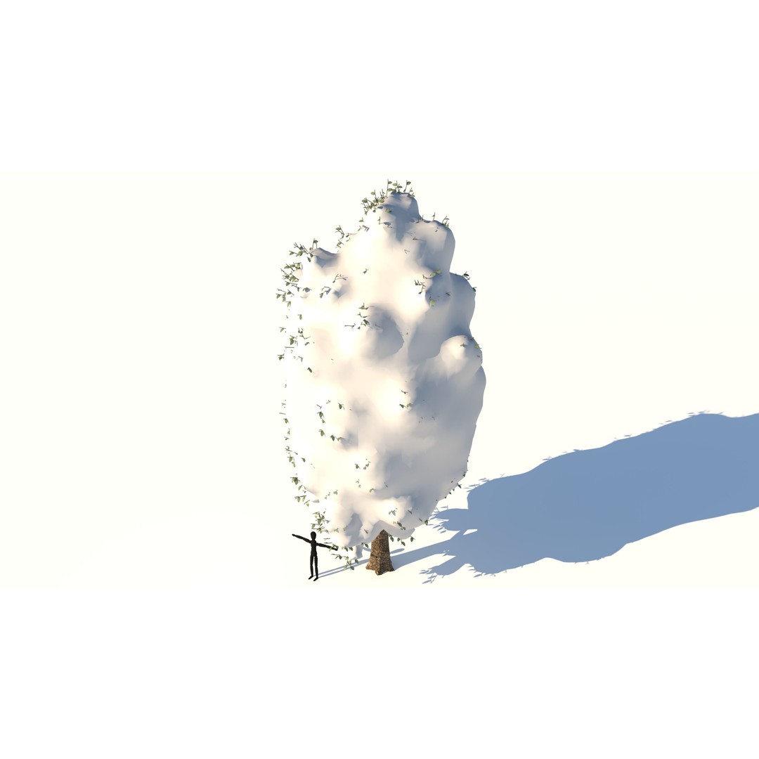 Snow Carolina Poplar Tree 3D Model – Realistic Vegetation Asset, C4D, FBX, OBJ - View 3