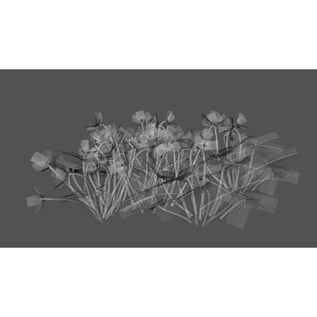 Helleborus orientalis 3D Model – Low Poly PBR Game Asset, FBX, OBJ - View 11
