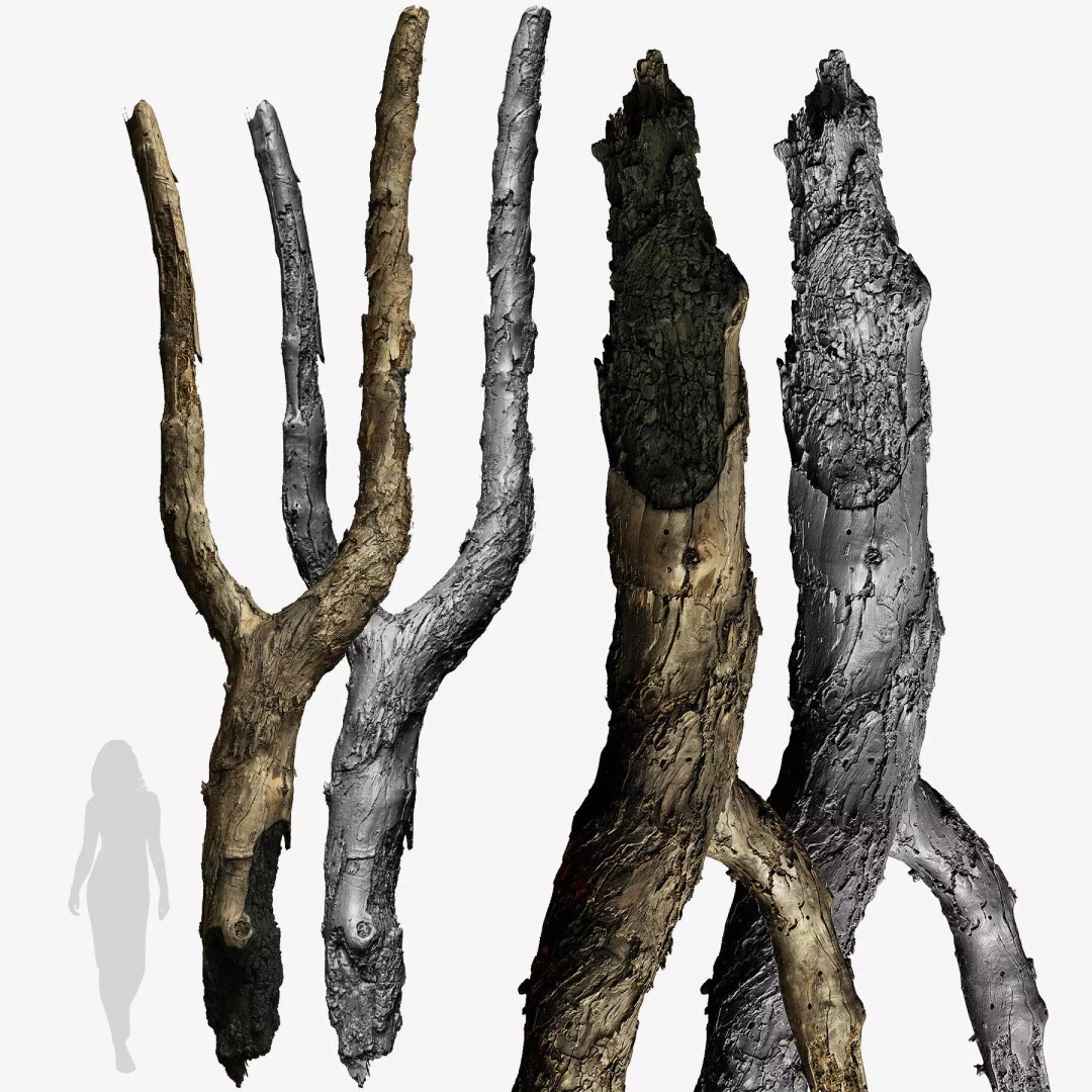 Burnt Tree Trunk 3D Model – Low Poly Scanned Asset, OBJ, 8k Textures