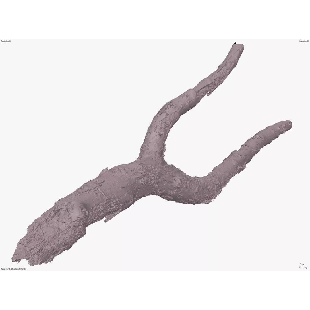 Burnt Tree Trunk 3D Model – Low Poly Scanned Asset, OBJ, 8k Textures - View 13