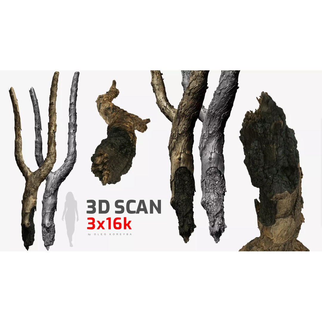 Burnt Tree Trunk 3D Model – Low Poly Scanned Asset, OBJ, 8k Textures - View 2
