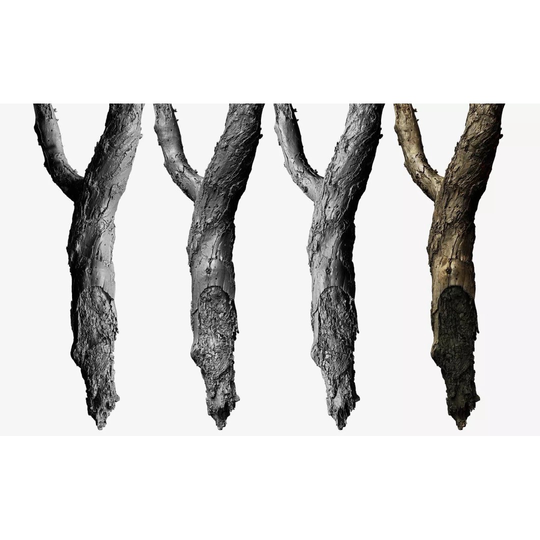Burnt Tree Trunk 3D Model – Low Poly Scanned Asset, OBJ, 8k Textures - View 3