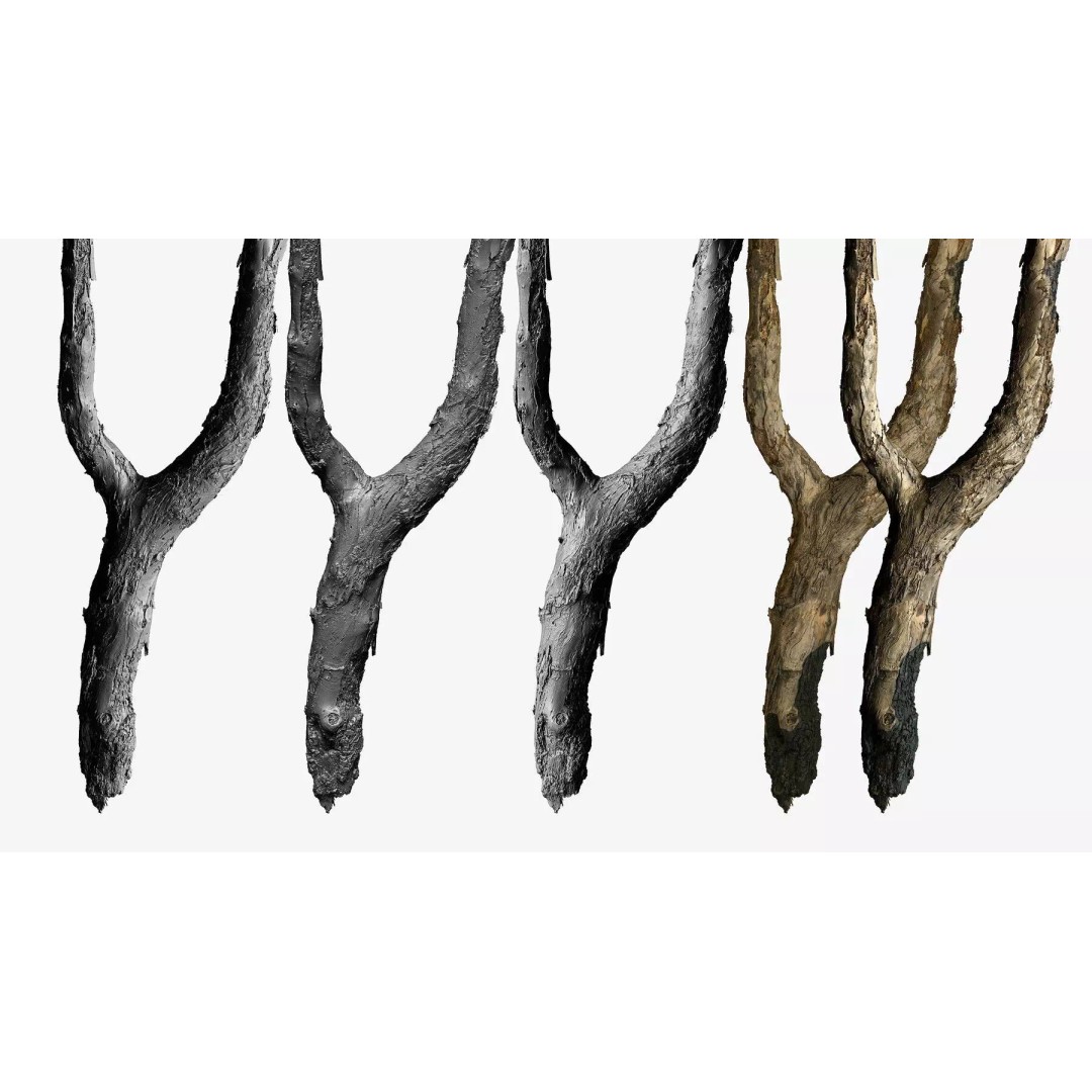 Burnt Tree Trunk 3D Model – Low Poly Scanned Asset, OBJ, 8k Textures - View 4