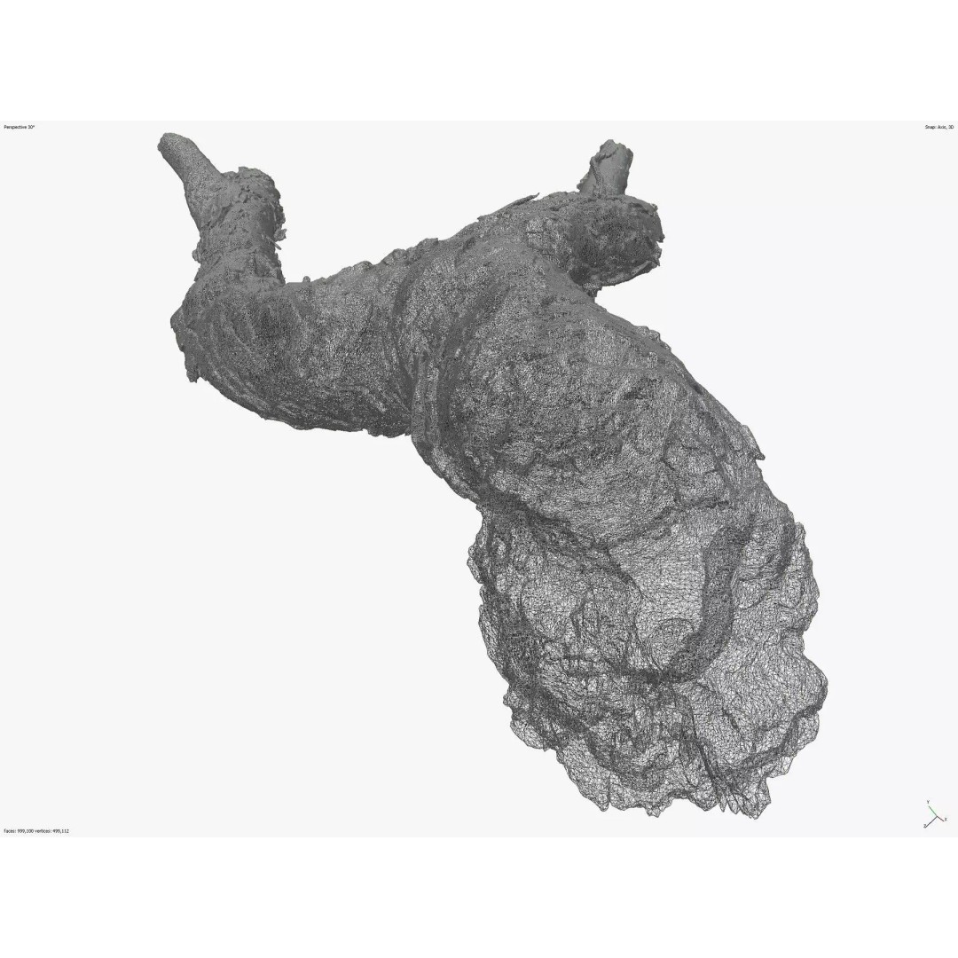 Burnt Tree Trunk 3D Model – Low Poly Scanned Asset, OBJ, 8k Textures - View 5