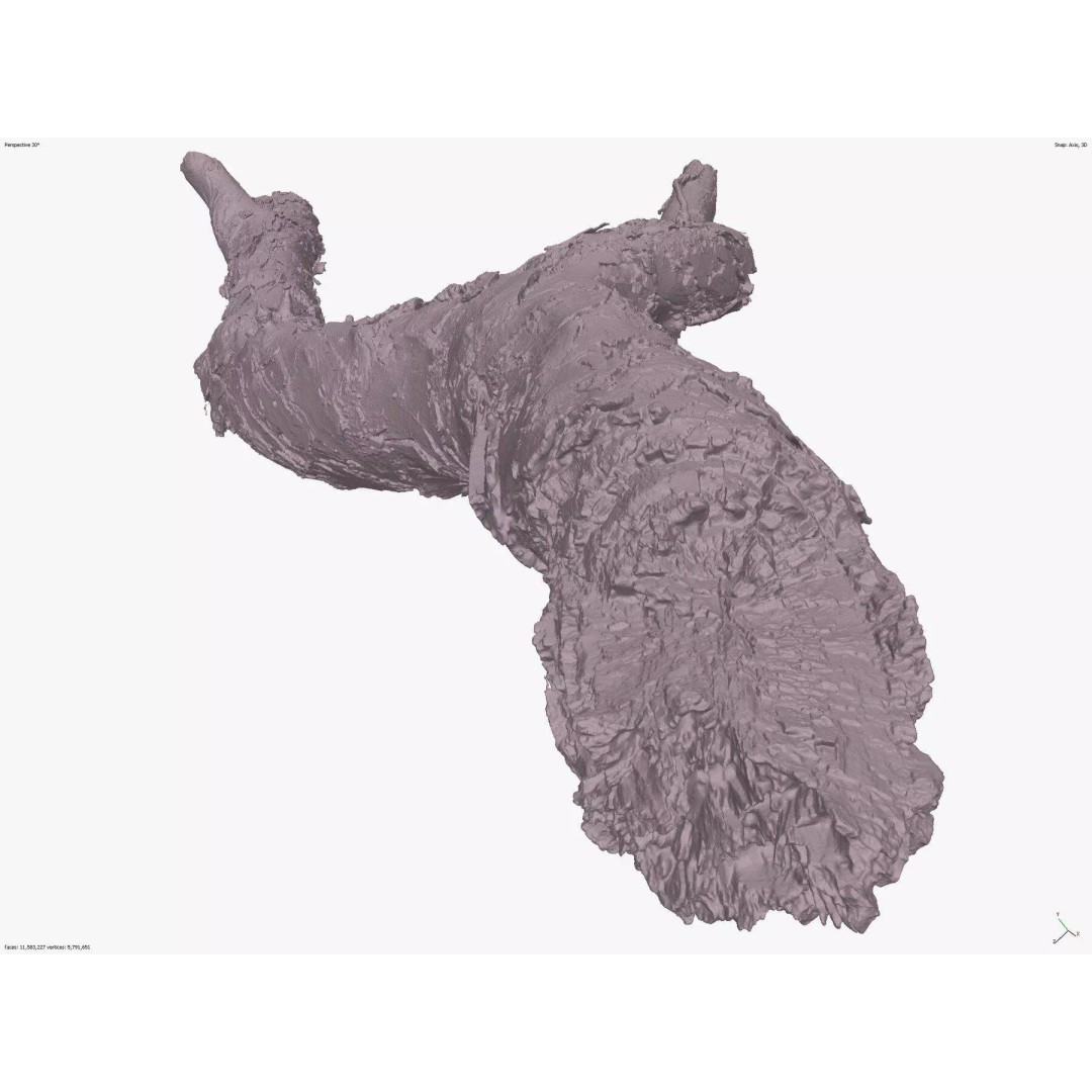 Burnt Tree Trunk 3D Model – Low Poly Scanned Asset, OBJ, 8k Textures - View 8