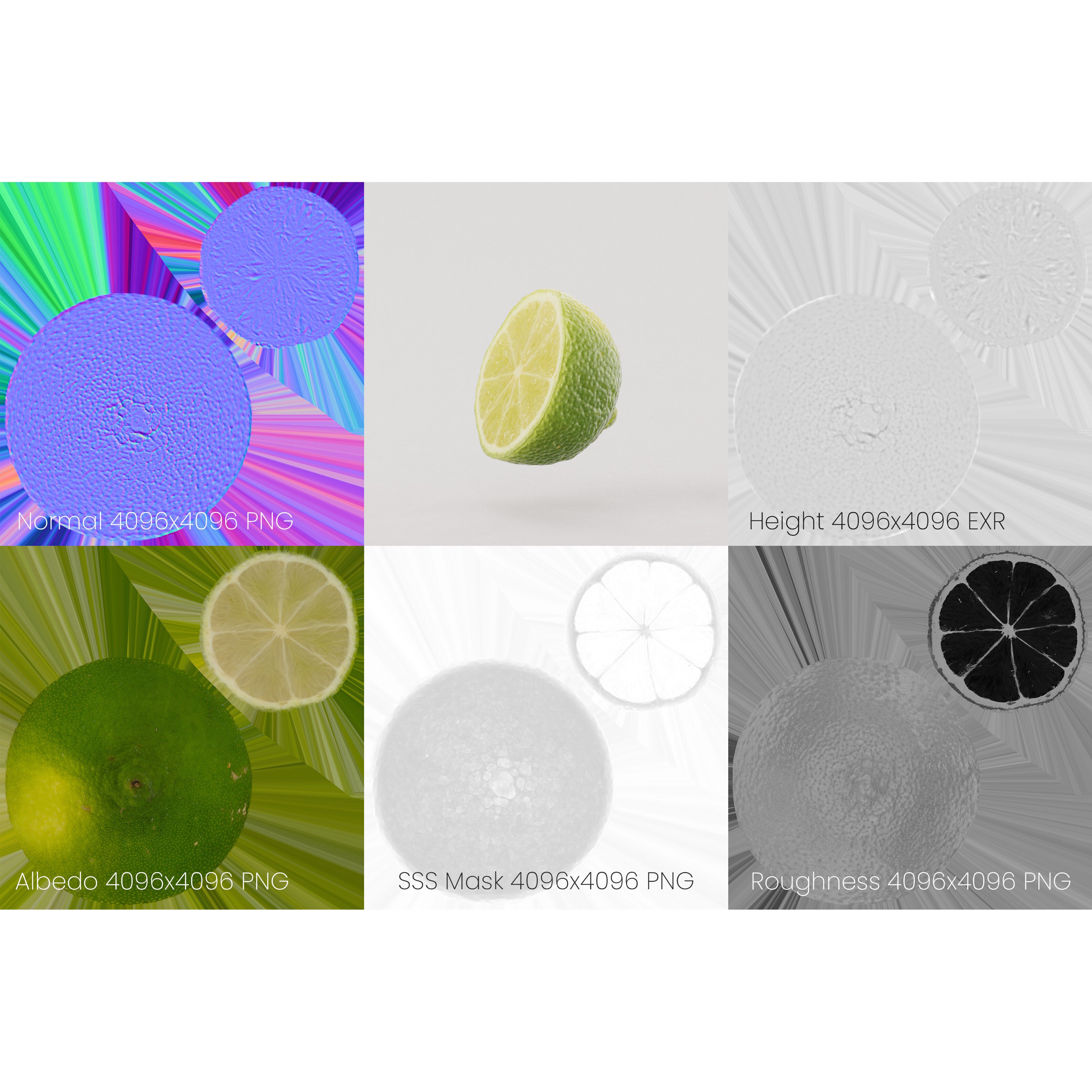 Half Cut Lime - Realistic 3D Model
