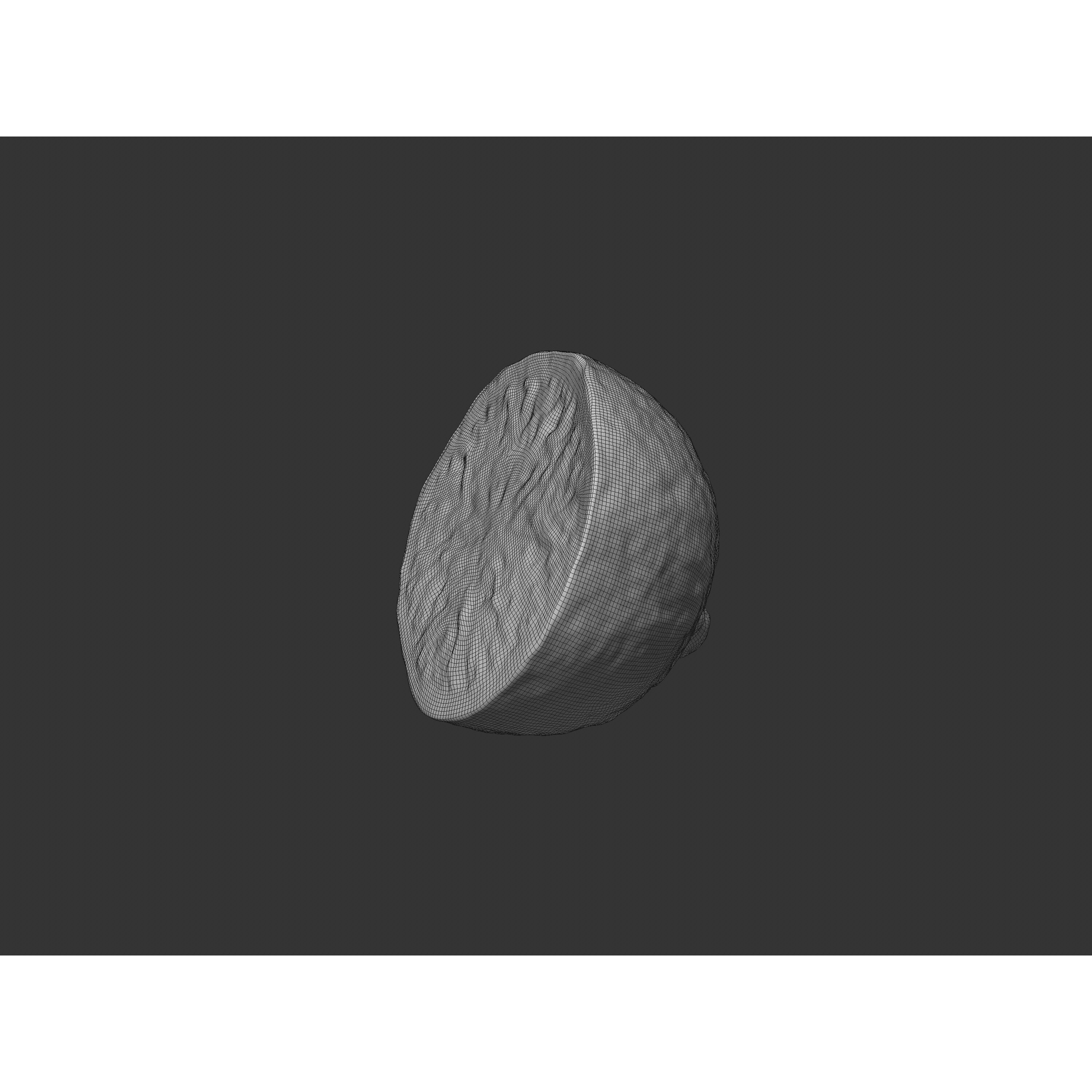 Half Cut Lime - Realistic 3D Model - View 10