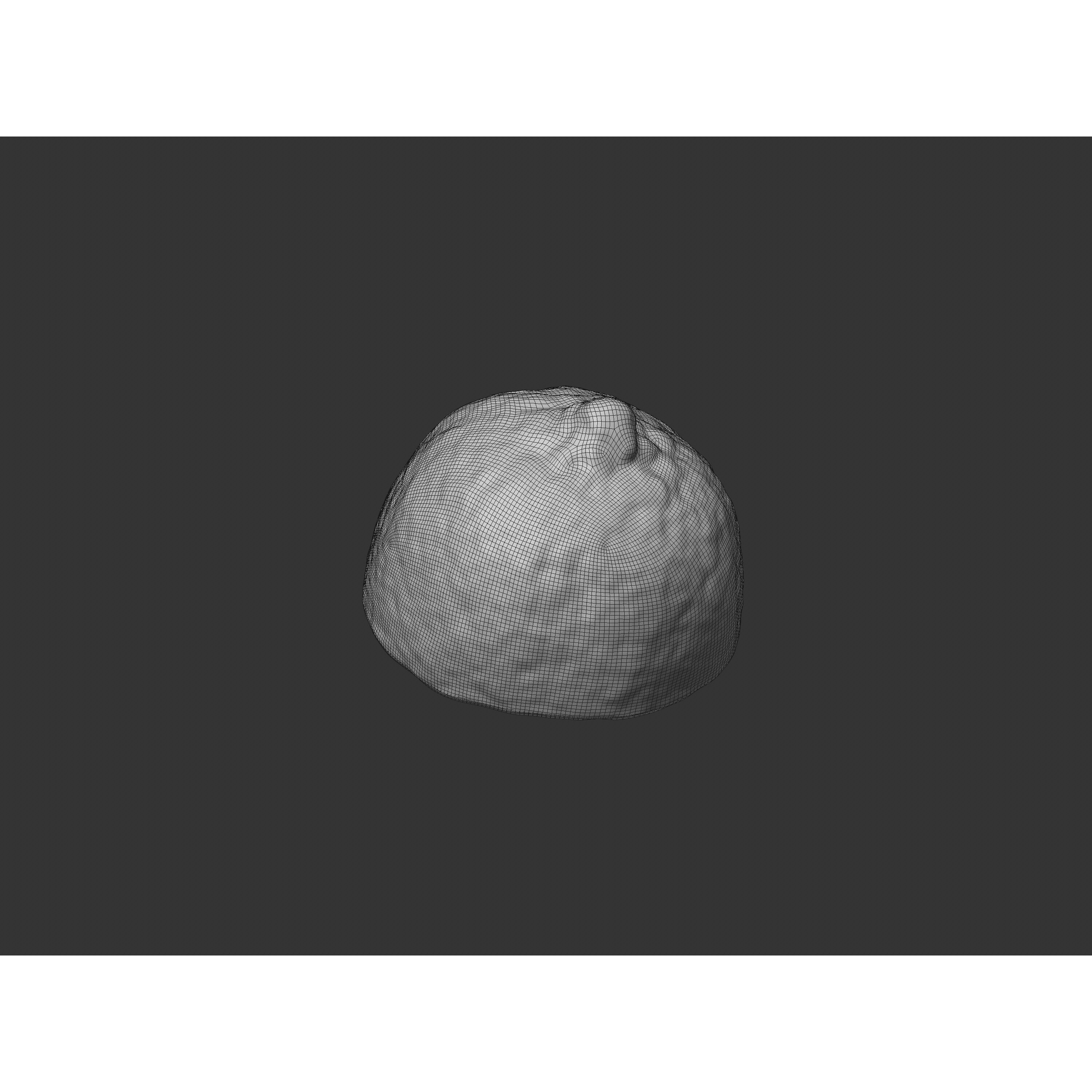 Half Cut Lime - Realistic 3D Model - View 11