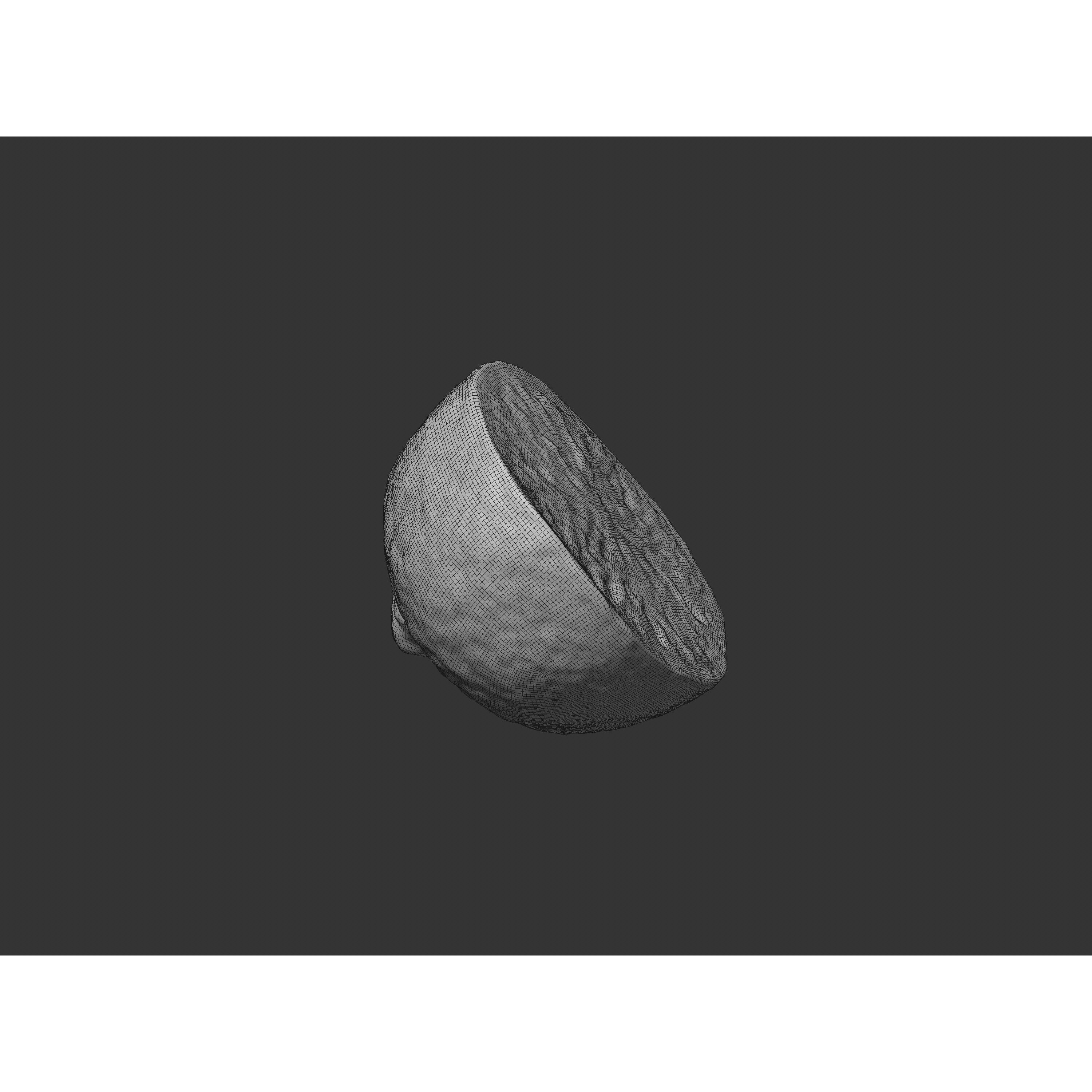 Half Cut Lime - Realistic 3D Model - View 7
