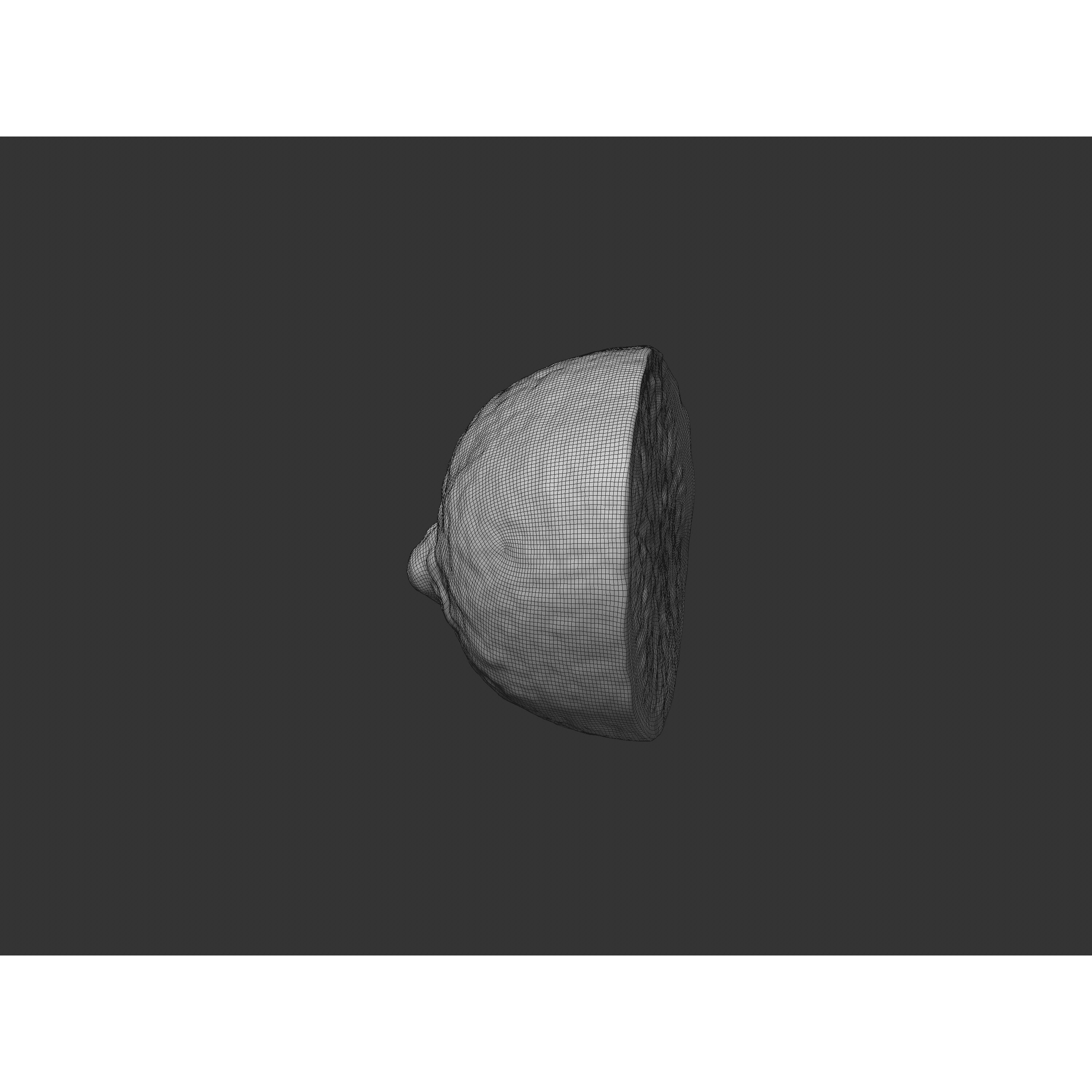 Half Cut Lime - Realistic 3D Model - View 8