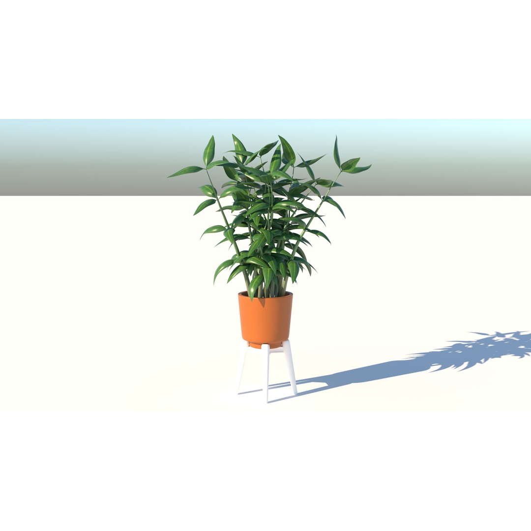 Dracaena 3D Model – Decorative Pot Plant, Cinema 4D & More - View 5