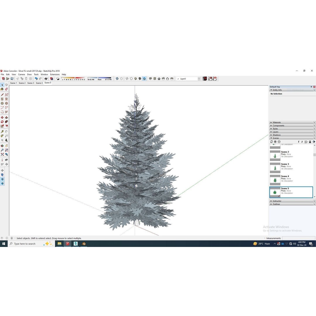 Abies Concolor 3D Model – Low Poly Small Silver Fir, FBX