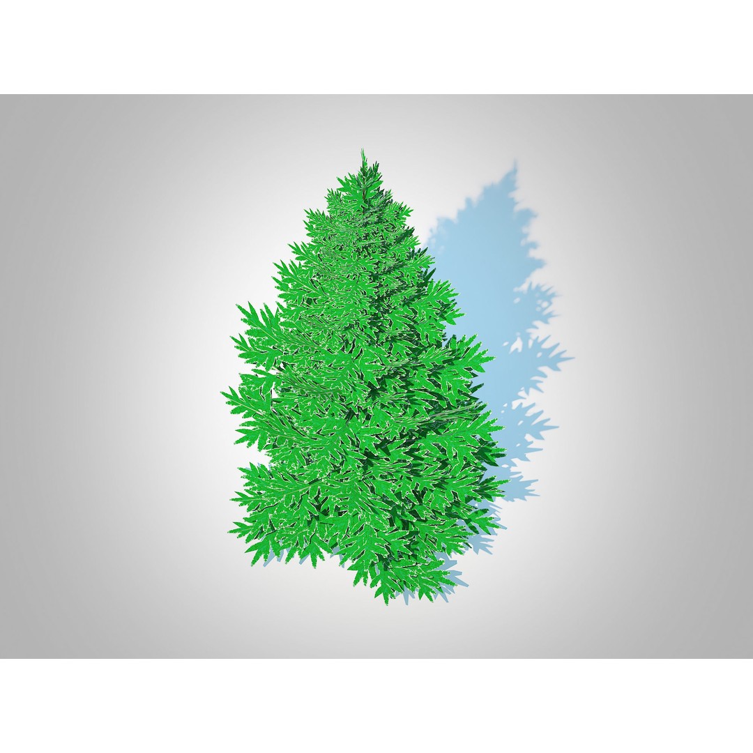 Abies Concolor 3D Model – Low Poly Small Silver Fir, FBX - View 5