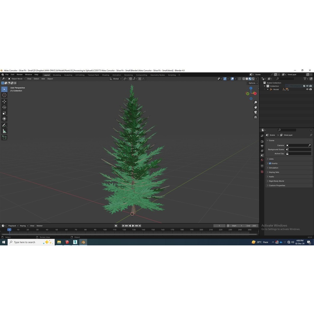 Abies Concolor 3D Model – Low Poly Small Silver Fir, FBX - View 7