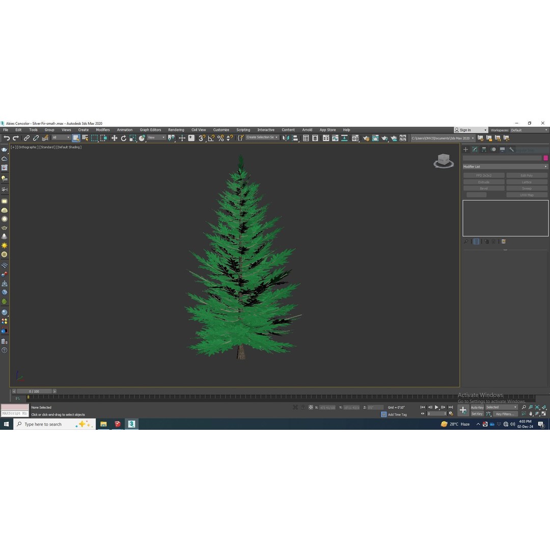 Abies Concolor 3D Model – Low Poly Small Silver Fir, FBX - View 8