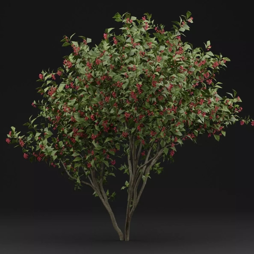 European Spindle Bush 3D Model – High Poly PBR Plant Asset, FBX, OBJ