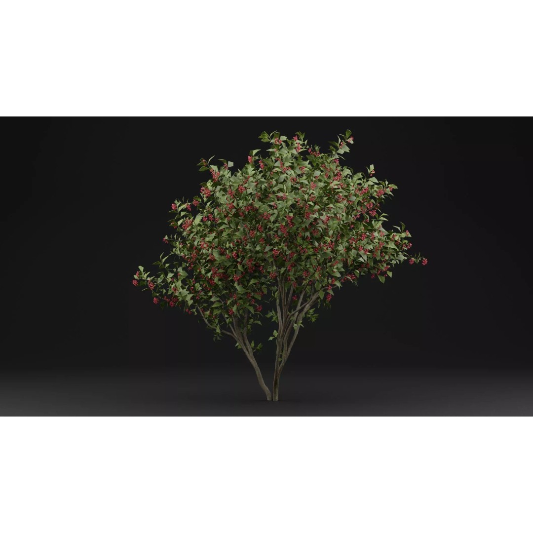 European Spindle Bush 3D Model – High Poly PBR Plant Asset, FBX, OBJ - View 2