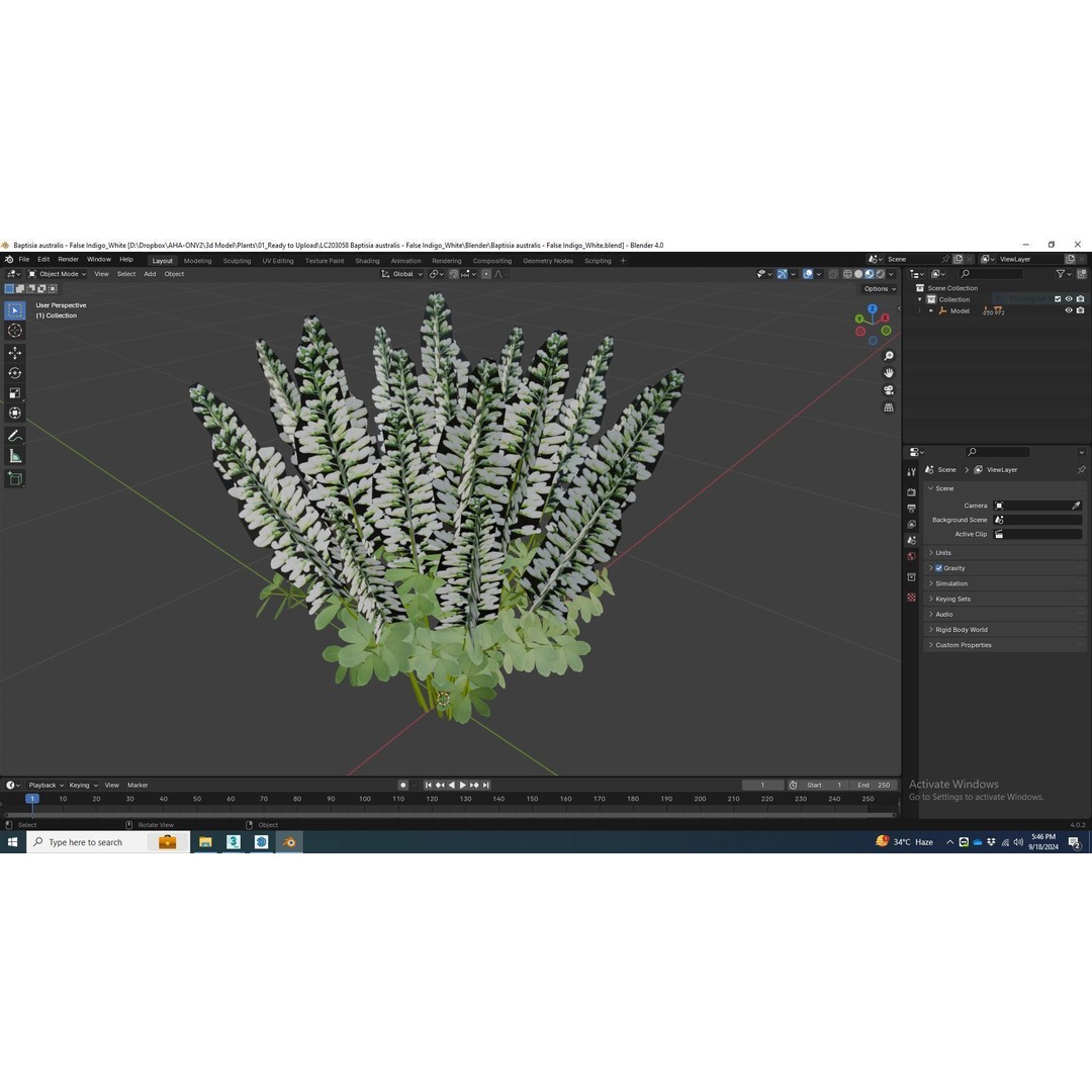 Baptisia australis 3D Model – Ornamental Plant, PBR Textures, FBX - View 7