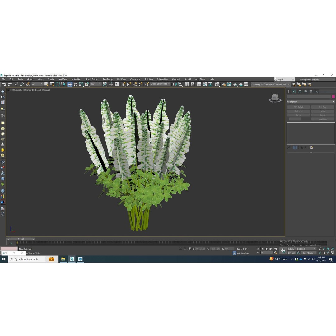 Baptisia australis 3D Model – Ornamental Plant, PBR Textures, FBX - View 8