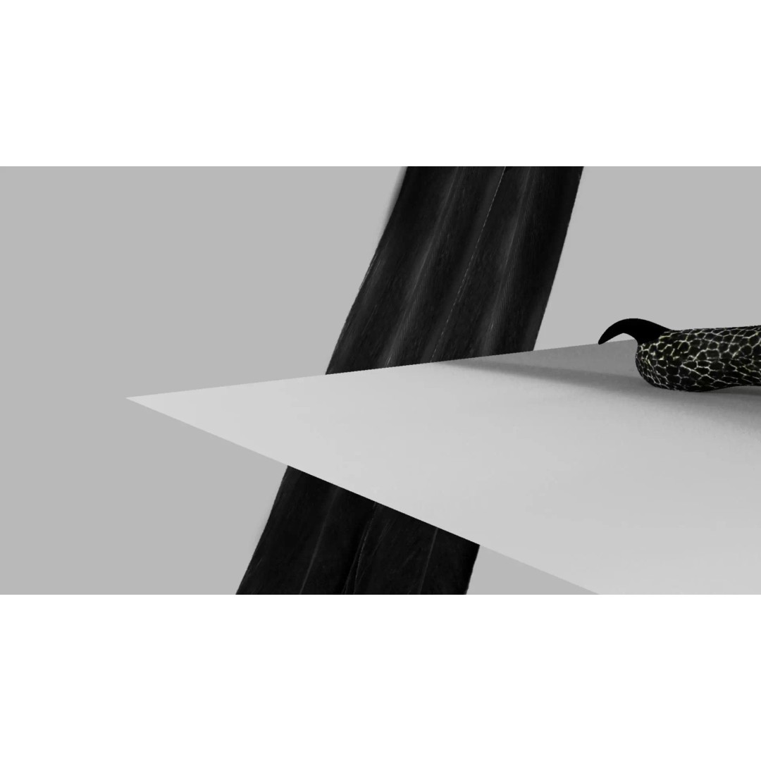 Brown Kokila 3D Model – Realistic Bird Asset with PBR Textures - View 14