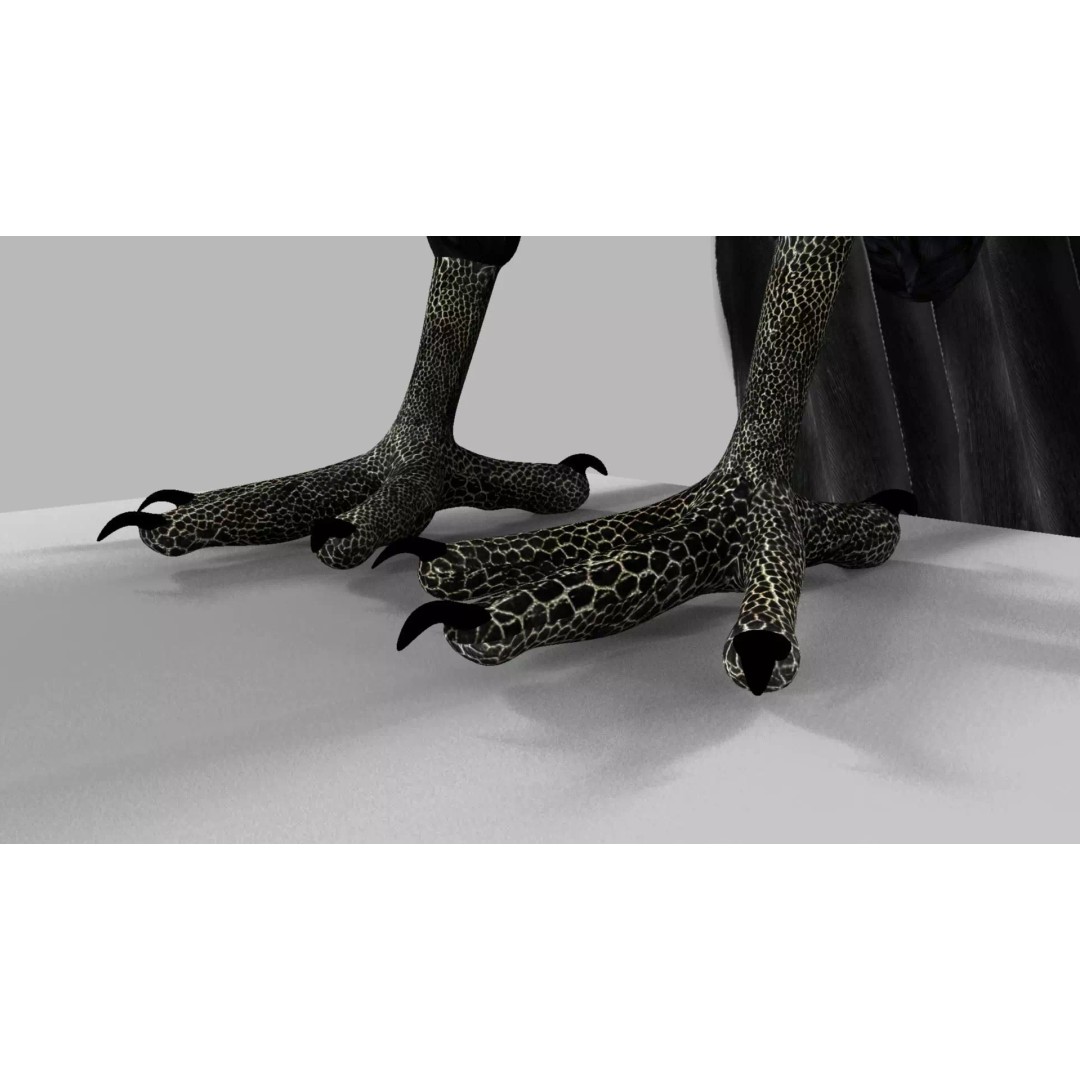 Brown Kokila 3D Model – Realistic Bird Asset with PBR Textures - View 16