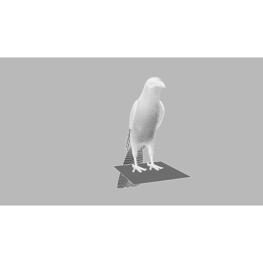 Brown Kokila 3D Model – Realistic Bird Asset with PBR Textures - View 20