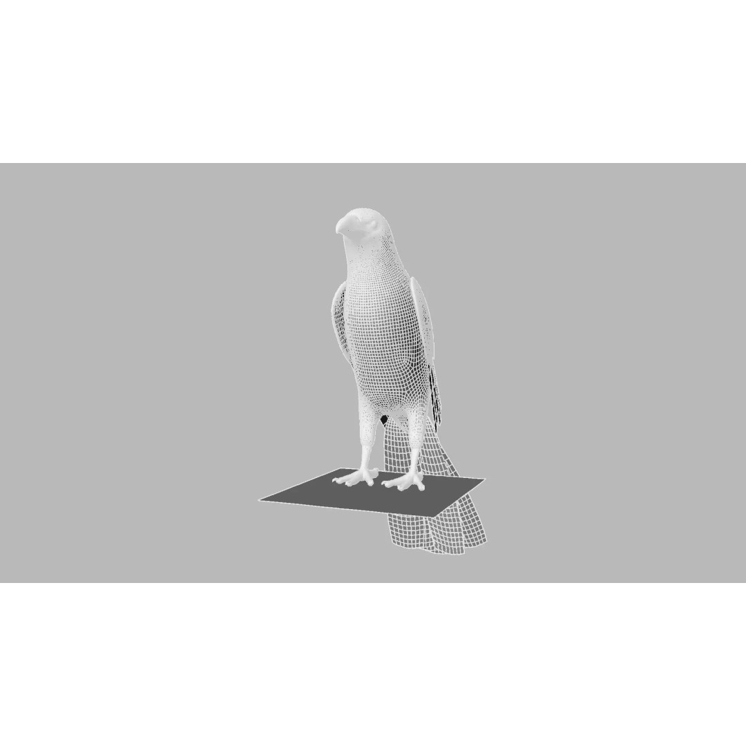 Brown Kokila 3D Model – Realistic Bird Asset with PBR Textures - View 21