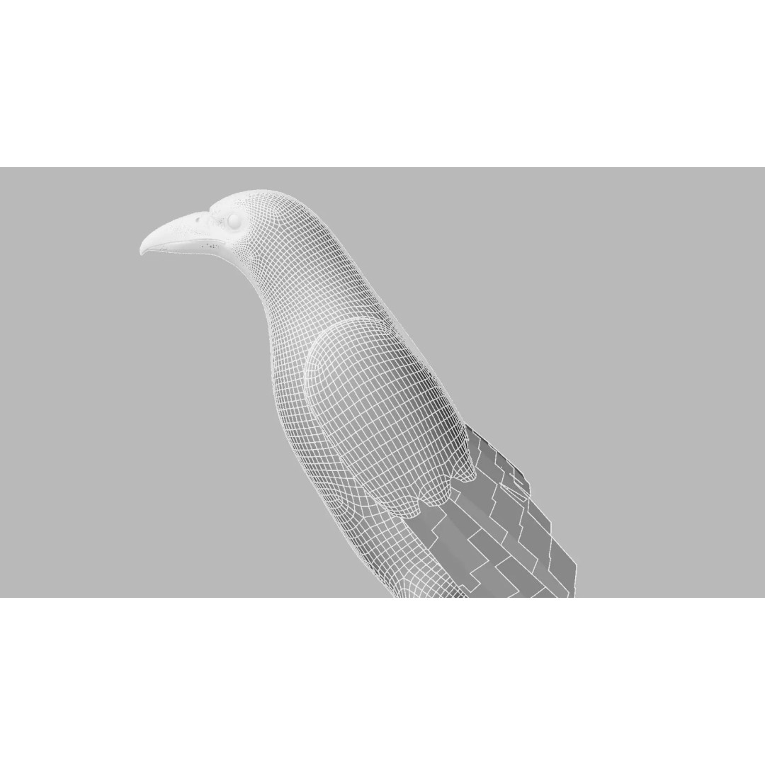 Brown Kokila 3D Model – Realistic Bird Asset with PBR Textures - View 23